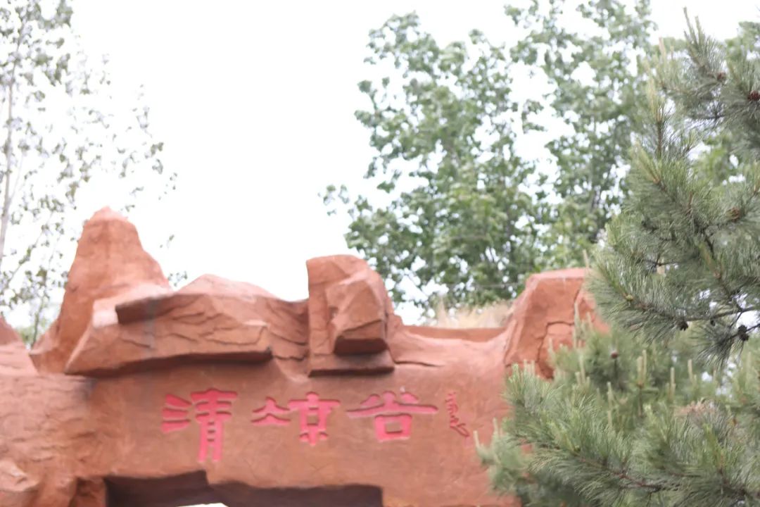立足當“夏”，覓清涼 